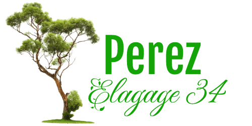 Perez Elagage 34