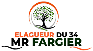 elagage-elagueur-du-34-mr-fargier